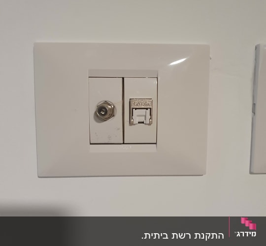 שקע cat